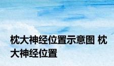 枕大神经位置示意图 枕大神经位置