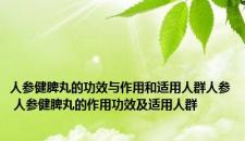人参健脾丸的功效与作用和适用人群人参 人参健脾丸的作用功效及适用人群