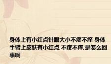 身体上有小红点针眼大小不疼不痒 身体手臂上皮肤有小红点,不疼不痒,是怎么回事啊
