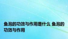 鱼泡的功效与作用是什么 鱼泡的功效与作用