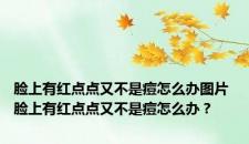 脸上有红点点又不是痘怎么办图片 脸上有红点点又不是痘怎么办？