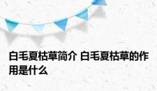白毛夏枯草简介 白毛夏枯草的作用是什么