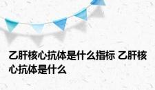 乙肝核心抗体是什么指标 乙肝核心抗体是什么