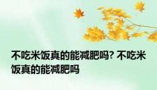 不吃米饭真的能减肥吗? 不吃米饭真的能减肥吗