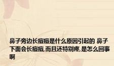 鼻子旁边长痘痘是什么原因引起的 鼻子下面会长痘痘,而且还特别疼,是怎么回事啊
