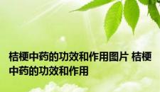 桔梗中药的功效和作用图片 桔梗中药的功效和作用