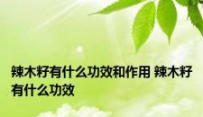 辣木籽有什么功效和作用 辣木籽有什么功效