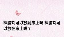 樟脑丸可以放到床上吗 樟脑丸可以放在床上吗？