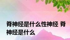 脊神经是什么性神经 脊神经是什么