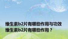 维生素b2片有哪些作用与功效 维生素b2片有哪些作用？