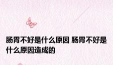 肠胃不好是什么原因 肠胃不好是什么原因造成的