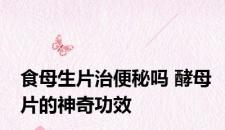 食母生片治便秘吗 酵母片的神奇功效